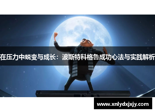 在压力中蜕变与成长：波斯特科格鲁成功心法与实践解析