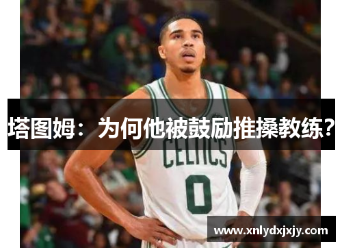 塔图姆：为何他被鼓励推搡教练？