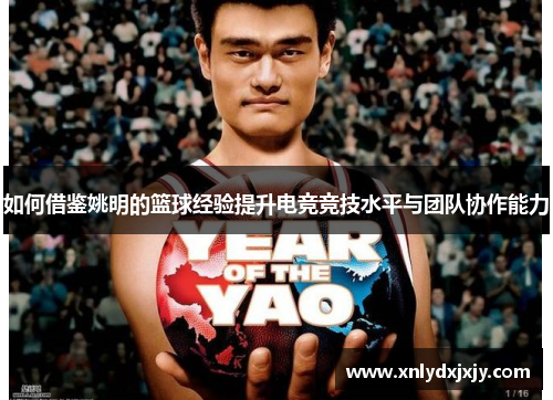 如何借鉴姚明的篮球经验提升电竞竞技水平与团队协作能力