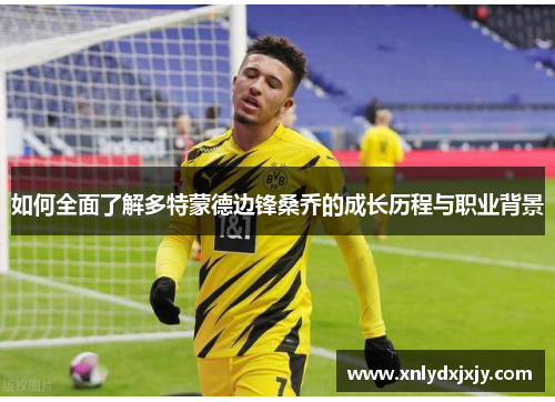 如何全面了解多特蒙德边锋桑乔的成长历程与职业背景