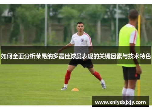 如何全面分析莱昂纳多最佳球员表现的关键因素与技术特色