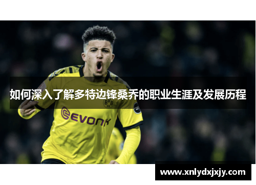 如何深入了解多特边锋桑乔的职业生涯及发展历程 如何深入了解多特边锋桑乔的职业生涯及发展历程