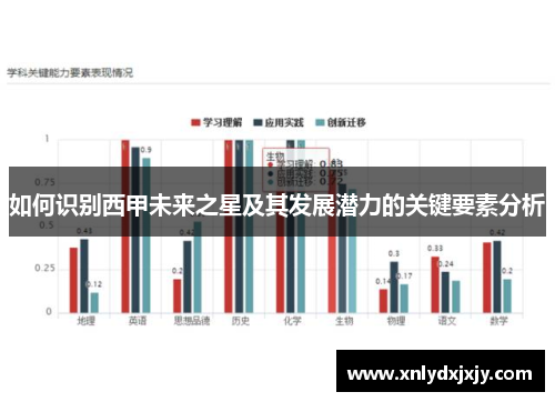 如何识别西甲未来之星及其发展潜力的关键要素分析