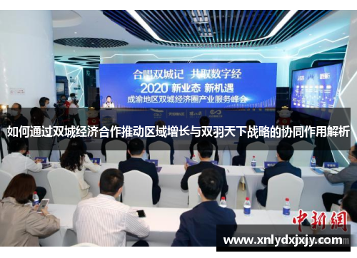 如何通过双城经济合作推动区域增长与双羽天下战略的协同作用解析