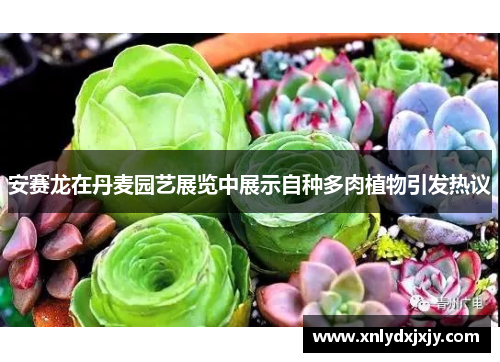 安赛龙在丹麦园艺展览中展示自种多肉植物引发热议 安赛龙在丹麦园艺展览中展示自种多肉植物引发热议