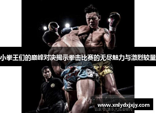 小拳王们的巅峰对决揭示拳击比赛的无尽魅力与激烈较量